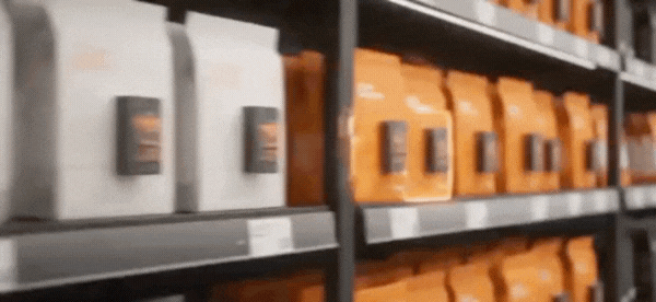 Untitled design (17)